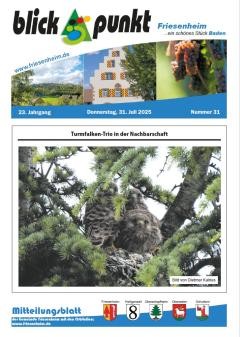 Amtsblatt KW 31 vom 31. Juli 2025